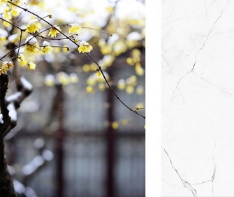 產品鑒賞丨耐人尋味的美感，總是“瓷”簡意賅